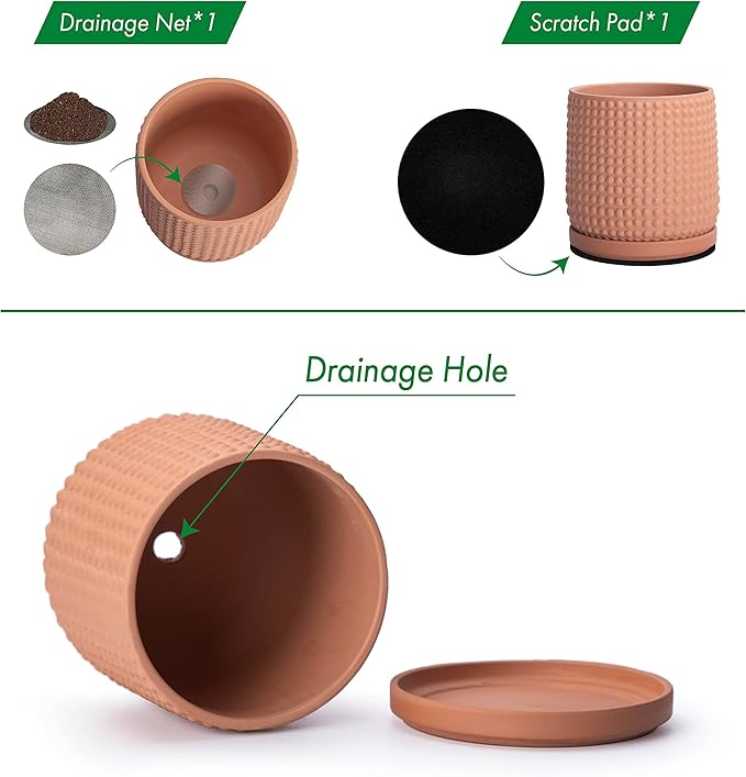 D'vine Dev Set of 2 Ceramic Plants Pots, 6 Inch Beaded Stoneware Flower Pot for Plants with Drainage Hole and Saucer, Terracotta, 27-E-X-7