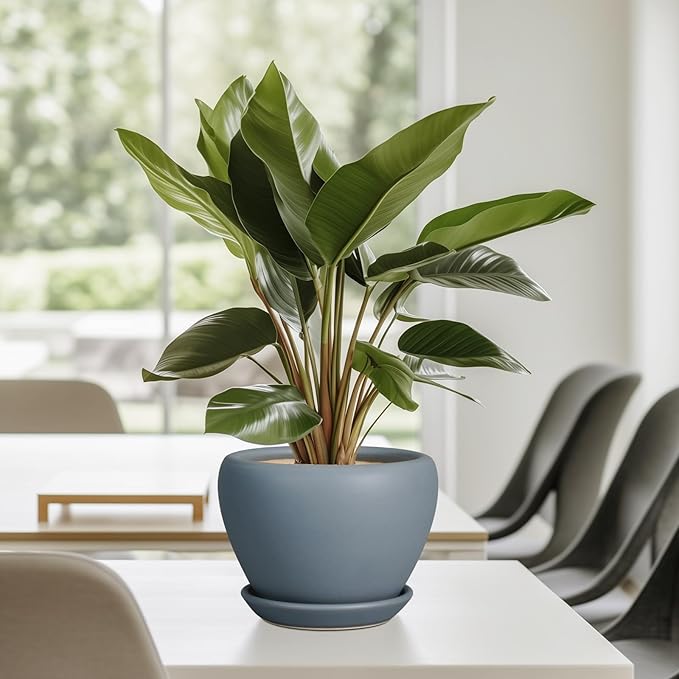 Ceramic Pot for Plants - 6 Inch Plant Pot Indoor with Drainage Hole and Saucer Decorative Planter for Outdoor Plants Modern Succulent Pot Round Flower Pot Gray