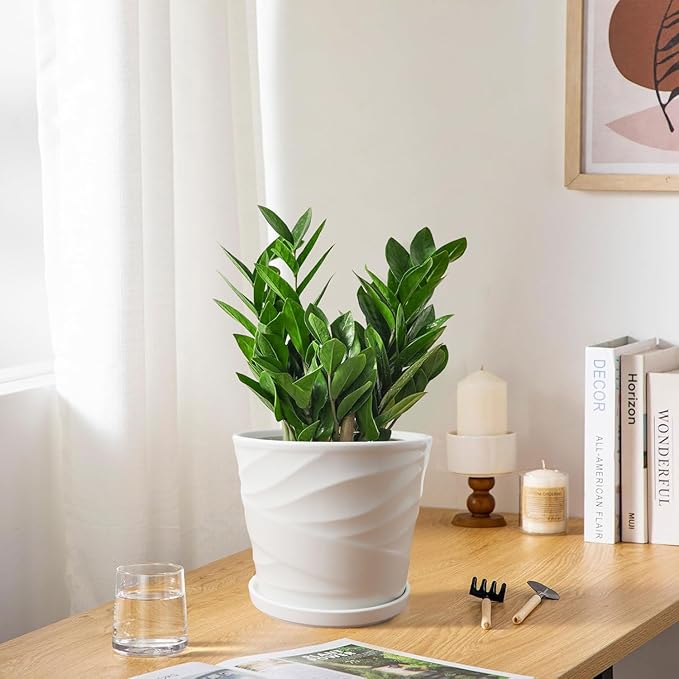 8 Inch Plant Pot, Ceramic Planter with Drainage and Saucer, Ceramic Pots for Plants, Indoor Plant pots,Succulent Orchid Flower Pot(Pure White)