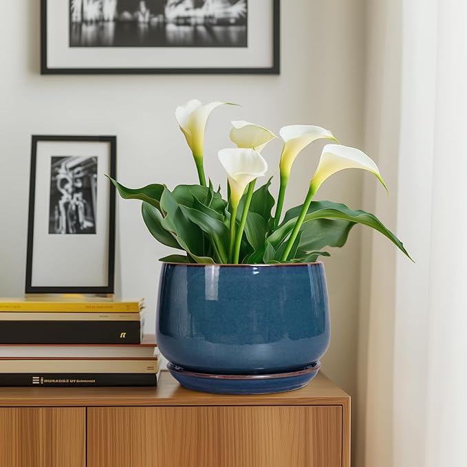 G EPGardening Ceramic Plant Pots - 9 Inch Round Modern Planter Indoor with Drainage and Tray for Indoor Outdoor Flower, Office Decor, Gardening Gifts, Retro Blue