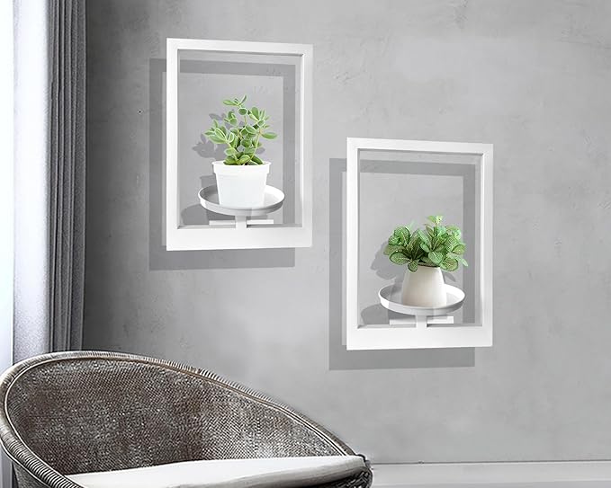 Picture Frame Plant Holder, Wall Mount Plants shelf Indoor Outdoor, Metal Hanging Planters Stand Decor, Window Planter Hanger Shelves, Modern Floating Ornament Rack Art for Home & Garden((White 2pc))