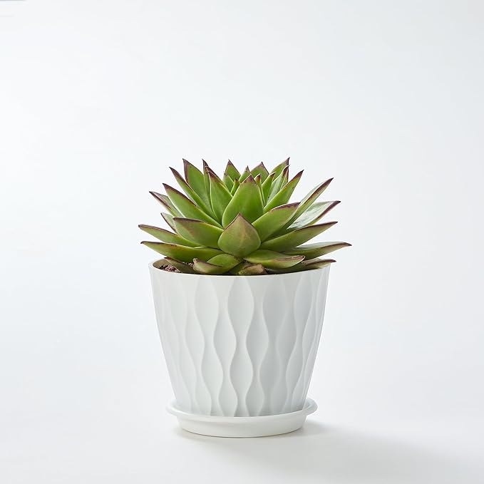 FaithLand 6-Pack 6-Inch Plastic Plant Pots with Saucers | Thickened PP Material, Modern Wave Texture, Enhanced Drainage for Indoor/Outdoor Garden Plants | White Value Set