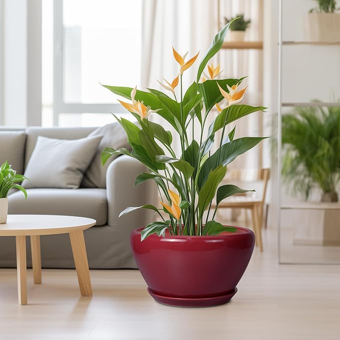 Ceramic Planter - Indoor Plant Pot with Drainage Hole and Saucer 13 Inch Large Pots for Plants Round Modern Outdoor Flower Pot Mid-Century Patio Room Decor Red