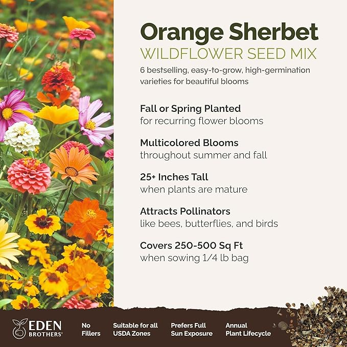 Eden Brothers Orange Sherbet Flower Mixed Seeds for Planting, 1/4 lb, 120,000+ Seeds with Cosmos Picotee, Bright Lights | Attracts Pollinators, Plant in Spring or Fall, Zones 3, 4, 5, 6, 7, 8, 9, 10