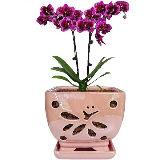 Orchid Pots with Holes Square Ceramic Orchid Planter Pots 5.5 inch (Pink)