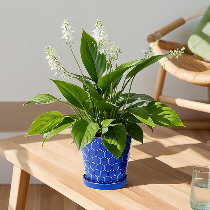 BUYMAX Plant Pots Indoor –6 inch Ceramic Flower Pot with Drainage Hole and Ceramic Tray - Gardening Home Desktop Office Windowsill Decoration Gift, Set of 2(Royal Blue)