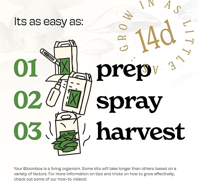 Lion's Mane Mushroom Grow Kit | Grow Your Own Fresh Gourmet Mushrooms at Home | Edible Indoor Mushroom Growing Kits Great Gift