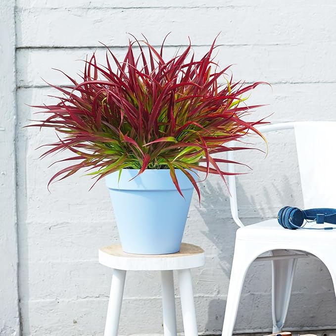 Uieke 12 Bundles Artificial Outdoor Plants UV Resistant Fake Grass Plants Faux Plastic Plants Greenery Shrubs for Home Garden Pathway Window Box Front Porch Spring Summer Decor, Deep Red