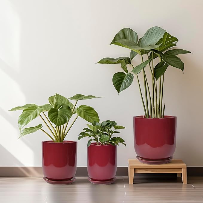 Ceramic Planter for Plants - 10 Inch Plant Pot Indoor with Drainage Hole and Saucer Modern Large Outdoor Planter Flower Pot for Home Decor Red