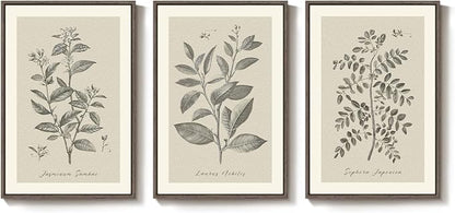 Framed Vintage Botanical Wall Art, 3 Piece Neutral Floral Plants Canvas - Image 8