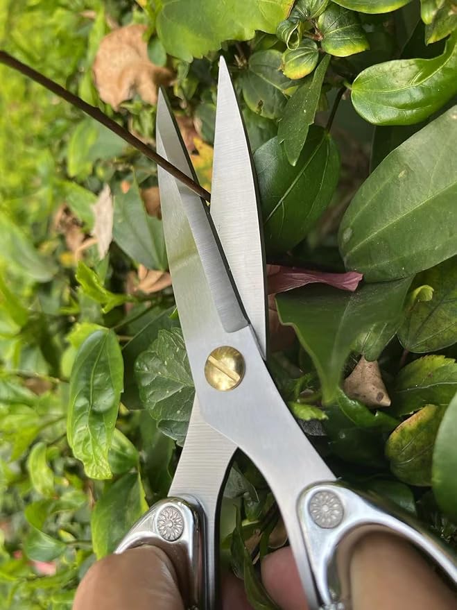 Indoor Plant Shears Bud Trimming Scissors, Japan SK5 Stainless Steel Floral scissors, Flowers Herbs and Stem Cutters, Clippers, Trimmers, Loppers, Bonsai Garden Pruning Scissors