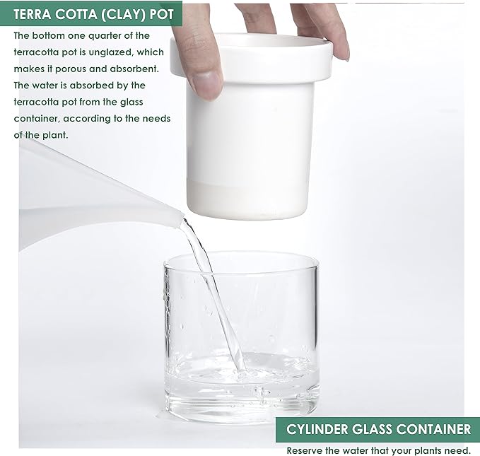 Phoenix Vine 4 Inch Self Watering Planter, White Terracotta Clay Pot with Glass Reservoir for Indoor Plants, Herbs, Flowers, Set of 3, 52-B-E-3