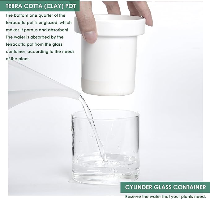 Phoenix Vine 4 Inch Self Watering Planter, White Terracotta Clay Pot with Glass Reservoir for Indoor Plants, Herbs, Flowers, Set of 2, 52-B-E-2