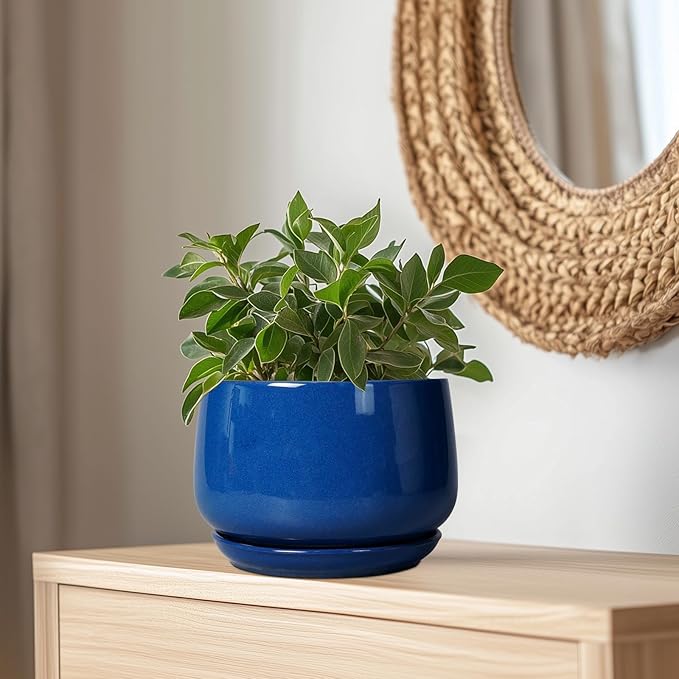 G EPGardening Ceramic Pots for Plants, 9 Inch Modern Round Planter with Drainage and Tray Indoor Outdoor for Flower, Patio Decor, Housewarming Gifts, Blue