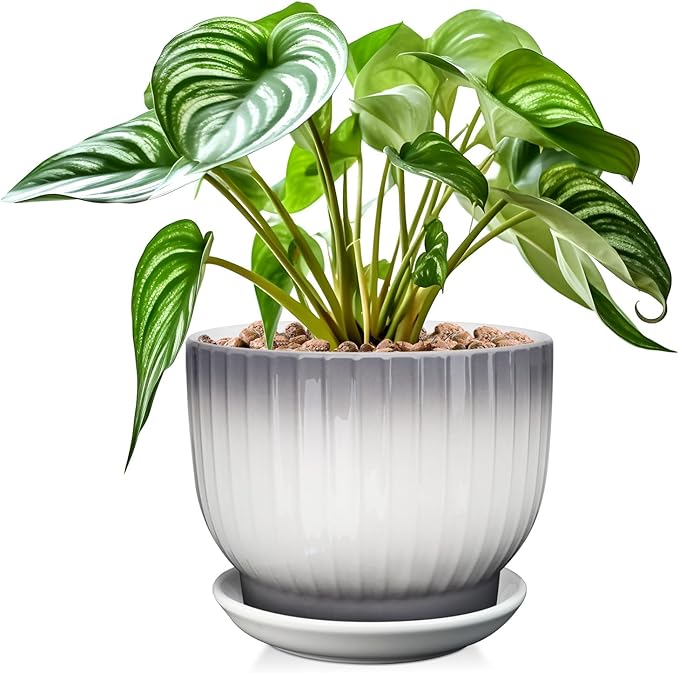 8 Inch Plant Pot, Ceramic Planter with Drainage and Saucer, Ceramic Pots for Plants, Indoor Plant pots,Ceramic Flower pots(Gray + White, Plants NOT Included)