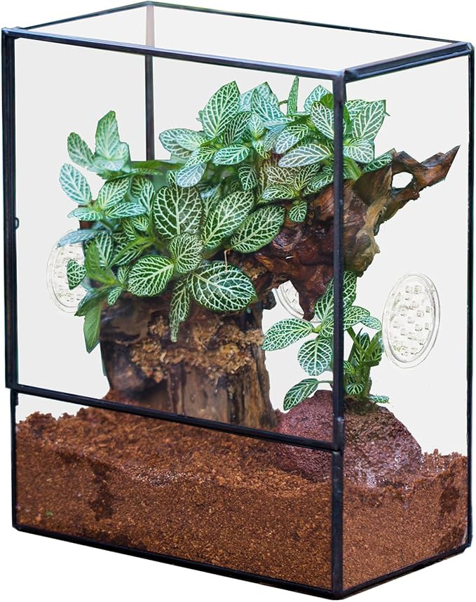 NCYP Glass Terrarium with Front Opening Door and 3 Vents for Insects, Snail, Spider, Glass Enclosure - 8"x4.5"x10" Clear Closed Plant Greenhouse Box (Terrarium Only)