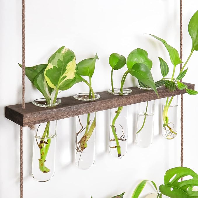 Ivolador Hanging Plant Propagation Tubes,3 Tiered Wall Hanging Terrarium Flower Planter Vase for Hydroponic Plants Cutting Home Office Garden Decor Plant Lover Gift