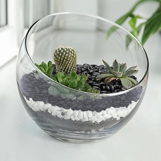 5 lbs Black Pebbles for Indoor Plants, Succulent, Bamboo, Vase, 3/8" Plant Rocks for Pots Indoor, Small River Rocks Decorative Pea Gravel, Highly Polished