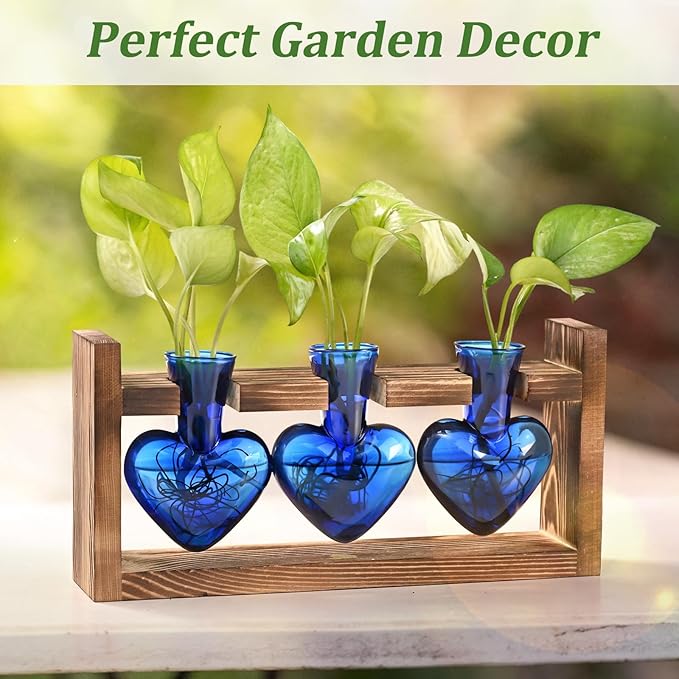 Lifecapido Heart Shaped Propagation Stations, Plant Terrarium with Wooden Stand, Plant Propagation Station for Hydroponics Plants Office Garden Home Decor, Gifts for Women Plant Lover (3 Vases, Blue)