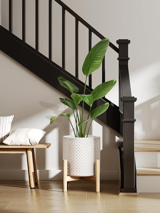 LE TAUCI 6+8+10 Inch Plant Pots Indoor, Ceramic Planter Pots for Plants, Raised Dots Flower Pots Indoor for Home and Office, Mid-Modern Century Pots with Drainage Hole and Plug, Glaze Arctic White