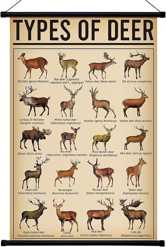 Geyee Deer Vintage Poster Wall Decor Deer Hunting Art Knowledge Picture Prints by Geyee