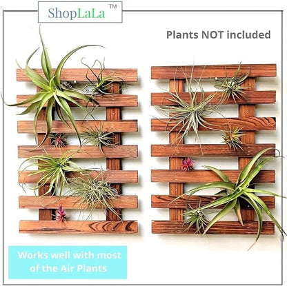 ShopLaLa Wall Planter - Image 6