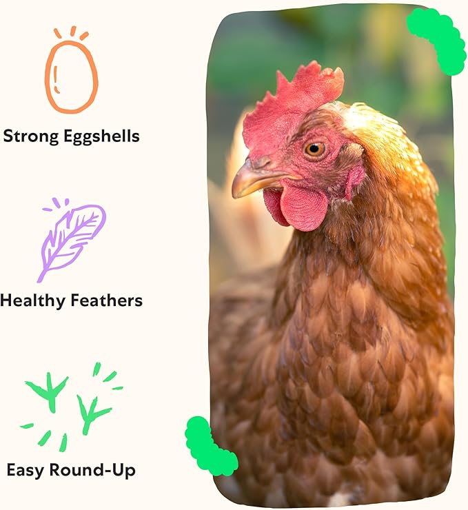 Grubblies - Black Soldier Fly Larvae for Chickens - Chicken Treats Grown in The US and Canada - for Strong Eggshells and Healthy Feathers - Grubblies Hometown Harvest 5LB