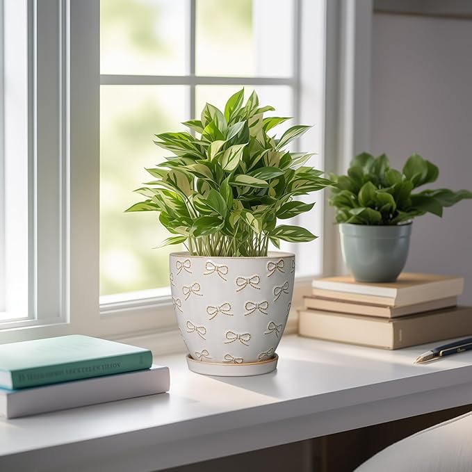 Ceramic Plant Pot 6 Inch - Ceramic Planter with Drainage Hole and Saucer Round Planter Flower Pot for Indoor Plants Outdoor Home Garden Office Decor White