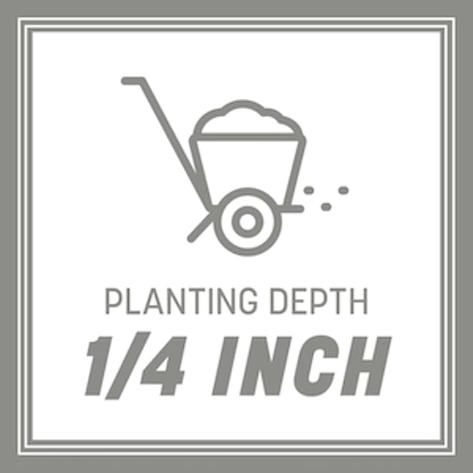 Pennington Contractors Grass Seed Mix Northern Mix 40 lb