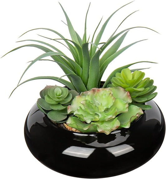 Large Artificial Succulents Plants Faux Succulents in Pots Fake Succulent Arrangement Potted Plants with Black Ceramic Pot for Office Desk Bathroom Shelf Living Room Indoor & Outdoor Home Decor