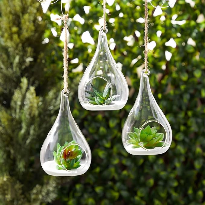 Juvale 5-Pack Hanging Glass Terrarium Containers - Air Plant Holder, Succulent Planter, Tea Light Candle Hangers (3.5x5 in)