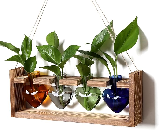 Plant Propagation Stations Heart Plant Terrarium Kit Gift for Women Plant Lover Glass Vases