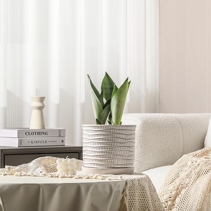 8 Inch Plant Pot: Ceramic Planter with Drainage Hole & Saucer - Cream White Flowerpot for Indoor & Outdoor Plants - with Separate Tray for Home & Office - Wave Embossed Design