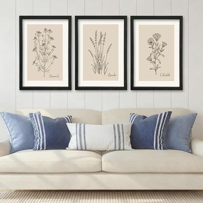 YWJKWLGS Vintage Botanical Wall Art 11x16 Inch Set Of 3 Wooded Framed by Unknown
