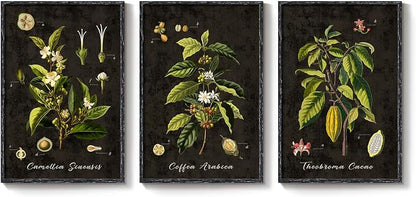Large Vintage Framed Botanical Wall Art, 3 Piece Dark Green Plant Canvas Prints - Image 9