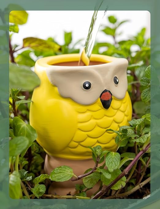 4 Pack Plant Watering Devices, Animal Shape Terracotta Watering Spikes, Vacation Self Watering Planter Insert, Automatic Plant Waterer for Indoor Outdoor Plants (Owl-Grey Eye)