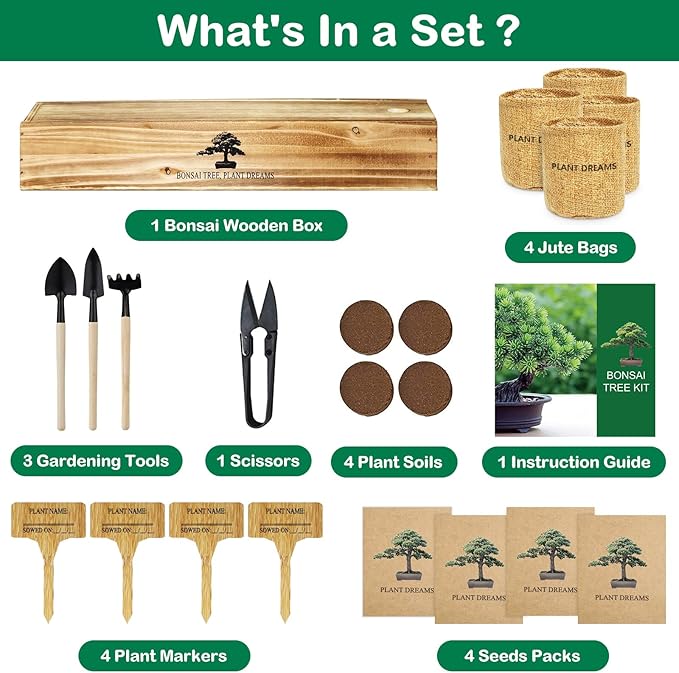 Bonsai Tree Kit, Bonsai Starter Kit for Growing Bonsai Plants with Tools, Grow Bonsai Tree Live Indoor, Garden Crafts Hobby Kits, Unique DIY Gardening Gifts for Men Women Mother
