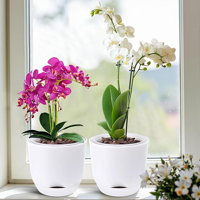 QCQHDU 2 Pack Orchid Pots with Holes for Repotting, Double-Layer and Self Watering Orchid Pot with Good Air Circulation