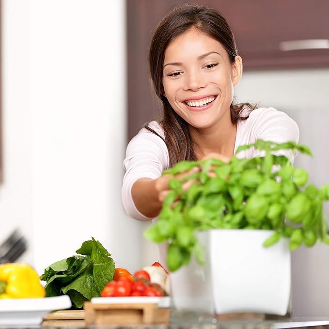 Culinary Indoor Herb Garden Starter Kit | Premium Herb Seeds | 18 Non-GMO Varieties | Grow Cooking Herbs & Spices | Seeds: Mint, Basil, Fennel, Anise, Rosemary, Dill, Mustard, More