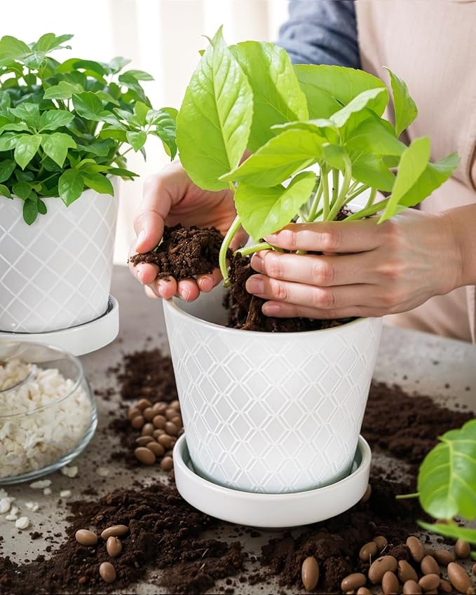 EFISPSS Flower Planter –5 inch Ceramic Plant Pots with Drainage Holes and Ceramic Tray - Gardening Home Desktop Office Windowsill Decoration Gift Set of 4 - Plants NOT Included (White)