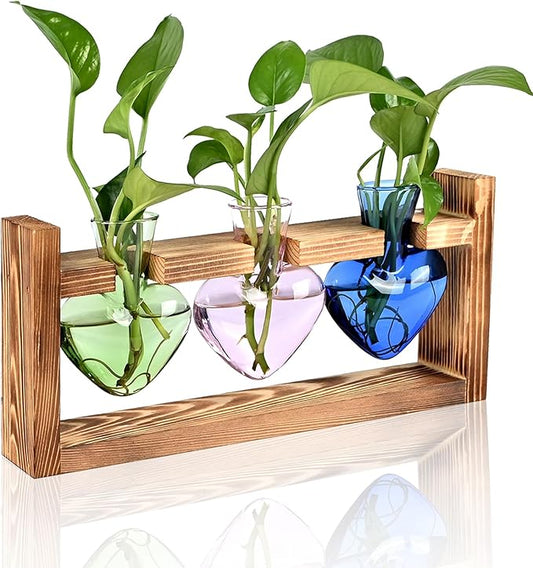 Plant Terrarium Propagation Stations Hydroponics Home Garden Decoration Gift for Women with Wooden Stand Heart Shaped Colored Glass Vase