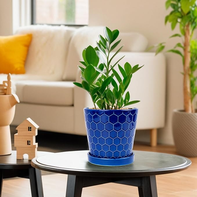 BUYMAX Plant Pots Indoor –6 inch Ceramic Flower Pot with Drainage Hole and Ceramic Tray - Gardening Home Desktop Office Windowsill Decoration Gift, Set of 2(Royal Blue)