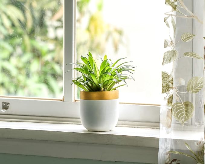 Dahey 3 Pack Small Cement Succulent Planter Pots 4 Inch Modern Mini Concrete Flower Pots Indoor Outdoor for Cactus Herb or Small Plants Home Decor