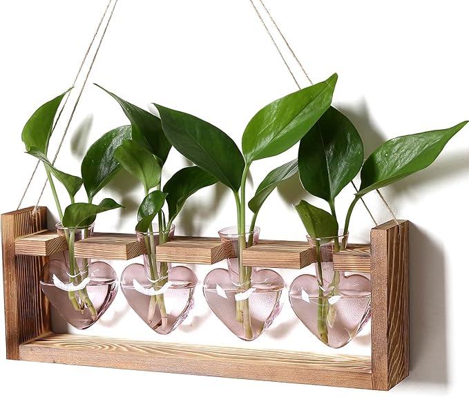 Plant Propagation Stations Heart Plant Terrarium Kit Gift for Women Plant Lover Glass Vases