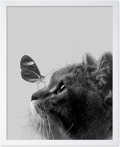 Poster Master Butterfly on Cat Print by PosterMaster