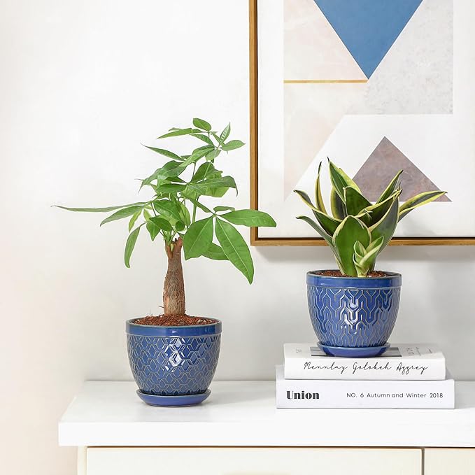 Sureasy Ceramic Indoor Plant Pots - 5.6 Inch Flower Pots for Plants with Drainage Hole and Saucer, Embossed Planter for Succulents, Orchid, Cactus, Indoor Home Decor, Set of 4, Blue