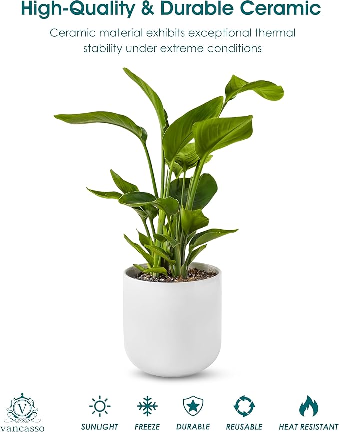 vancasso 8 Inch Ceramic Plant Pots, Planters with Drainage Hole, Flower Pots Planters Pots for Indoor Plants, Modern Indoor Decorative Garden Pot, Home Decor, White