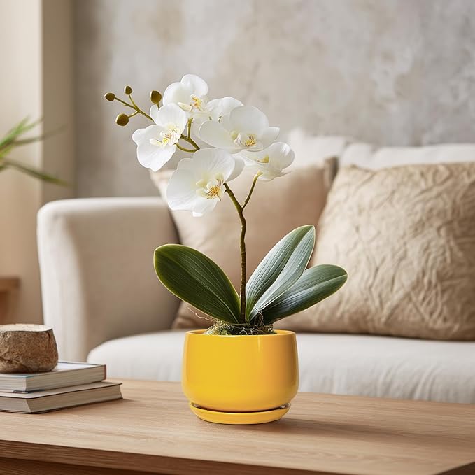 G EPGardening 4 Inch Ceramic Planter - Succulent Pots for Plants Indoor Outdoor, Small Plant Pots with Drainage Hole & Saucer, Round Planter, Modern Flower Pot, Home Decor, Plant Lover Gift, Yellow