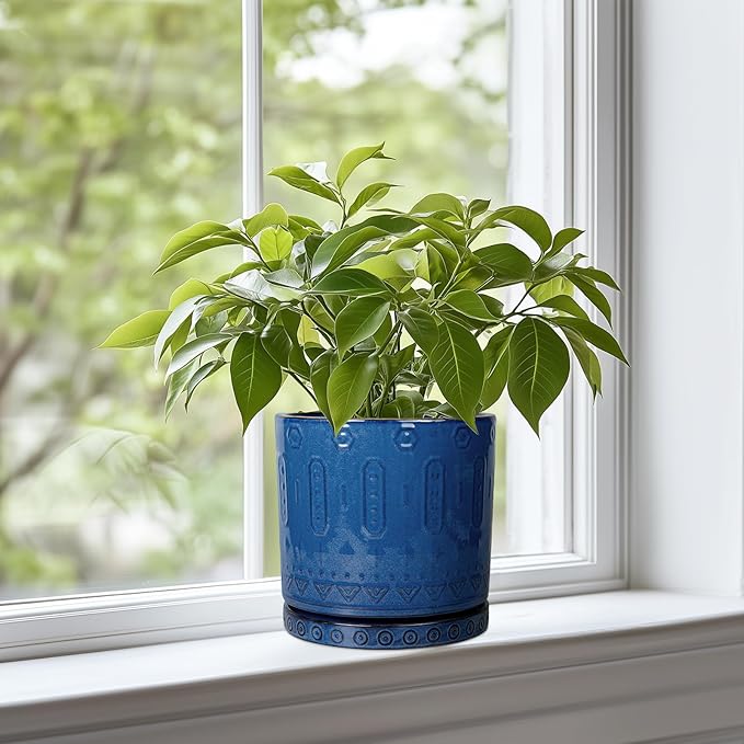 6 Inch Plant Pot - Ceramic Planter for Outdoor Plants Indoor Plant Pot with Drainage Holes and Saucer Succulent Pot Modern Round Flower Pot for House Room Decor Blue