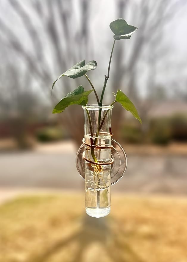 The Little Window Propagator- Window Plant Propagation Station with Removable Glass Test Tubes, Indoor Clippings, Cut Flowers, Herbs, Succulents | Home Decor | Plant Lover Gift